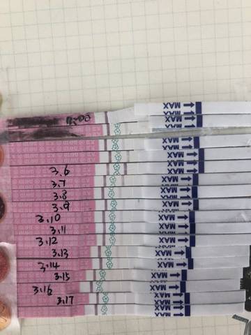 journal_insert_pic_1199765130