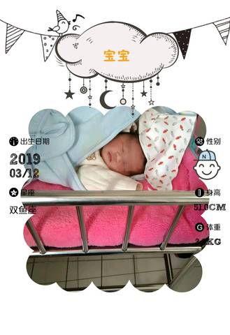 journal_insert_pic_1200245925