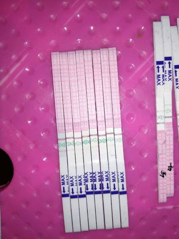 journal_insert_pic_1200286054