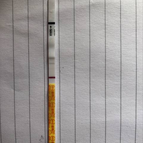 journal_insert_pic_1201121046