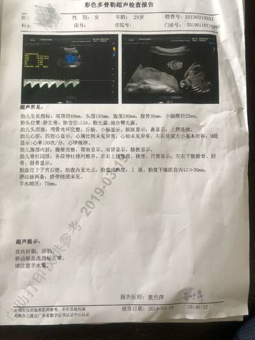 journal_insert_pic_1201014205