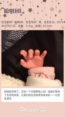 journal_insert_pic_1201380833
