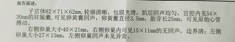 journal_insert_pic_1201786300