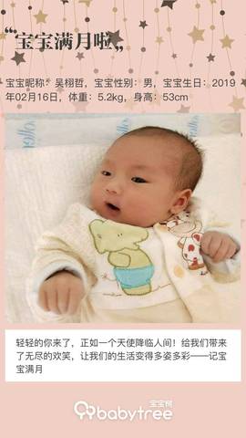journal_insert_pic_1201460563