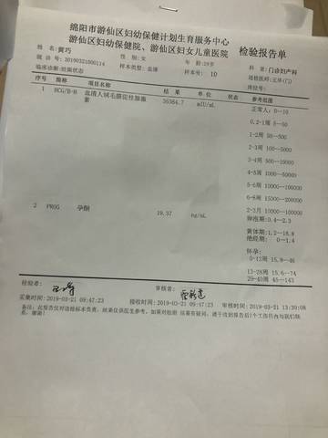 journal_insert_pic_1202312198
