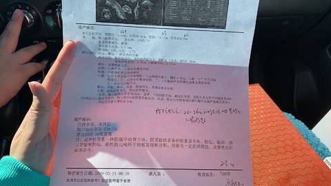 journal_insert_pic_1202078966