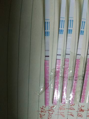 journal_insert_pic_1202091104