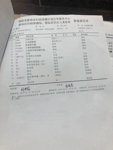 journal_insert_pic_1202312226