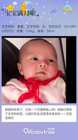 journal_insert_pic_1202835237