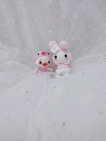 journal_insert_pic_1203121103