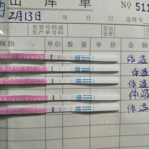 journal_insert_pic_1203120232