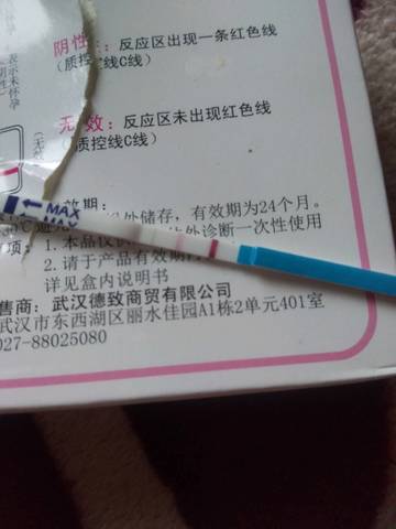 journal_insert_pic_1203623628