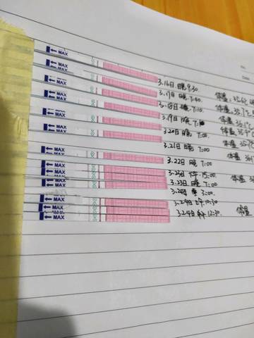 journal_insert_pic_1203945473