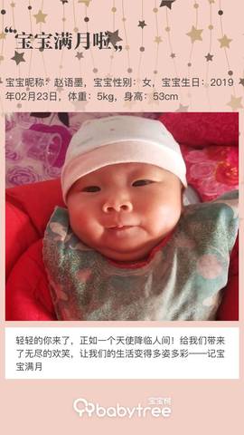 journal_insert_pic_1204302626
