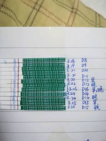 journal_insert_pic_1204678300