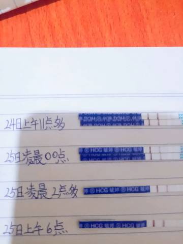 journal_insert_pic_1204186146