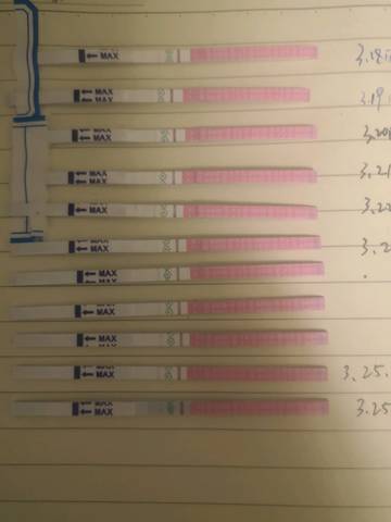 journal_insert_pic_1204642357