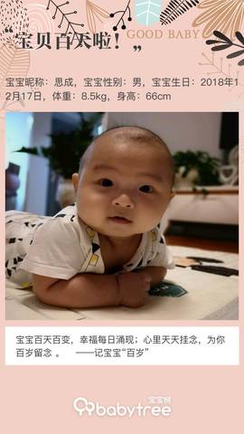 journal_insert_pic_1204283286