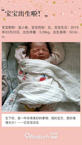 journal_insert_pic_1204757950