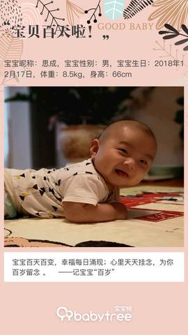 journal_insert_pic_1204803885