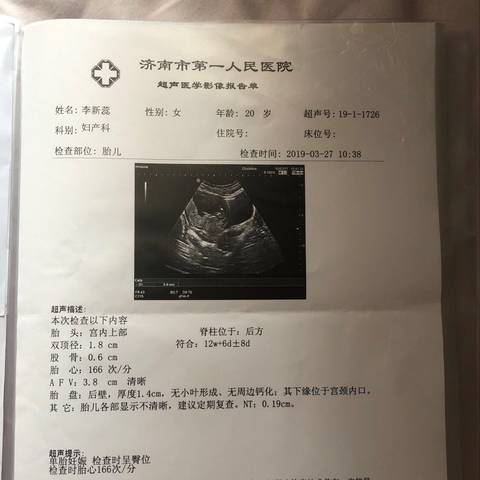 journal_insert_pic_1205617404