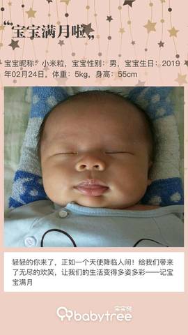 journal_insert_pic_1205412221
