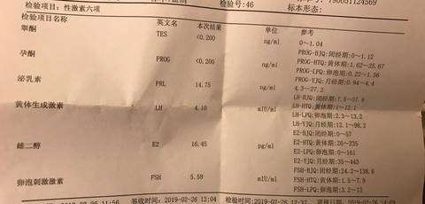 journal_insert_pic_1205463512