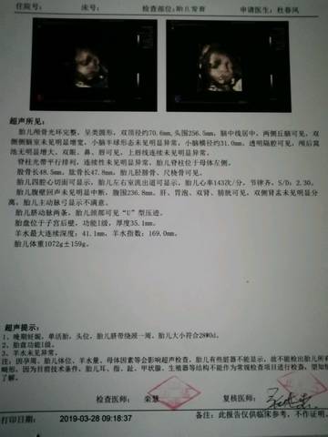 journal_insert_pic_1206207939