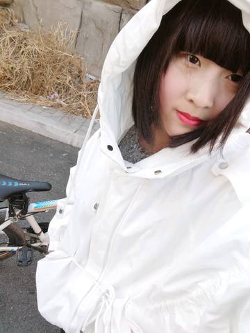journal_insert_pic_1206287455