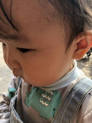 journal_insert_pic_1206186063