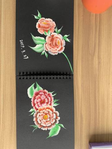 journal_insert_pic_1205979362