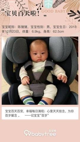 journal_insert_pic_1207295414