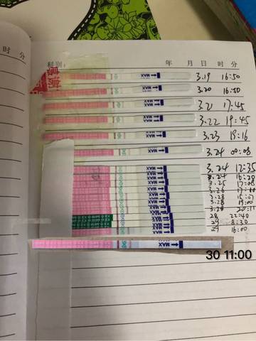 journal_insert_pic_1207084159
