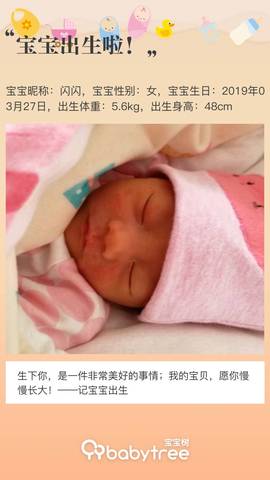 journal_insert_pic_1208080472
