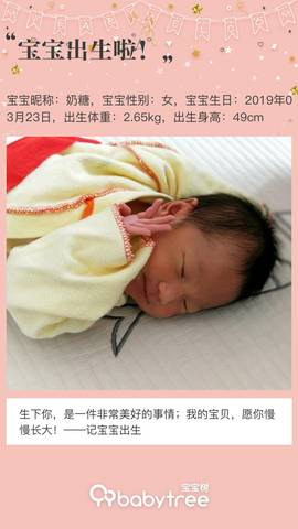 journal_insert_pic_1207587700