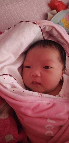 journal_insert_pic_1207532360