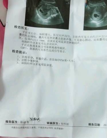 journal_insert_pic_1208531425