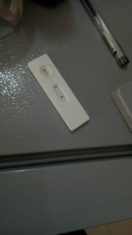 journal_insert_pic_1208827047