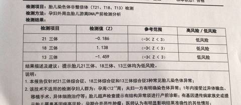 journal_insert_pic_1208994060