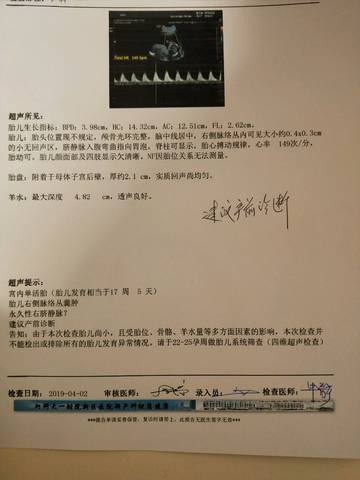journal_insert_pic_1209135247