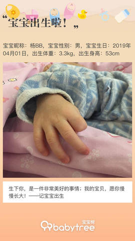 journal_insert_pic_1209753943