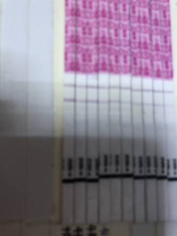 journal_insert_pic_1209692459