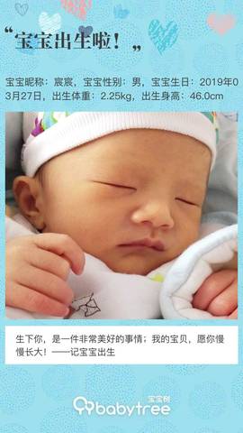 journal_insert_pic_1209560681