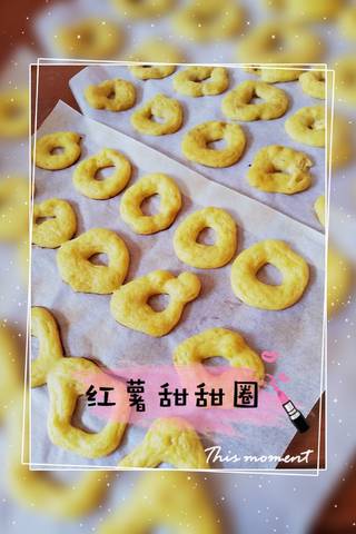 journal_insert_pic_1209788637