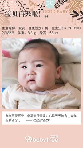 journal_insert_pic_1209314190