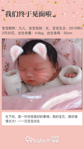 journal_insert_pic_1210027644