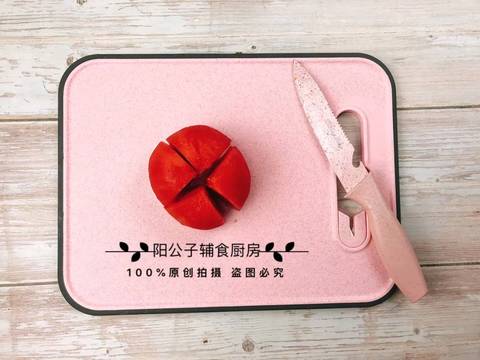 journal_insert_pic_1210714990