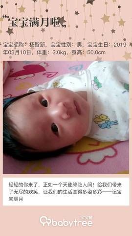 journal_insert_pic_1212388561