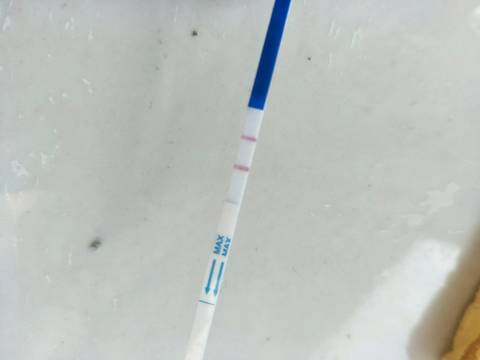 journal_insert_pic_1212410257