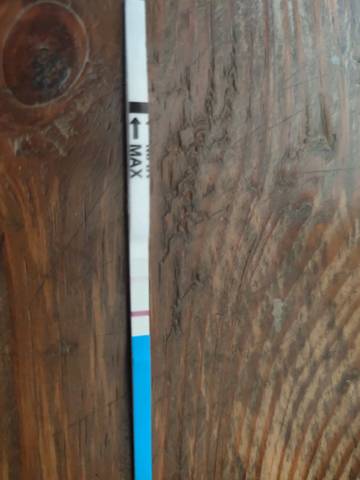 journal_insert_pic_1212477888